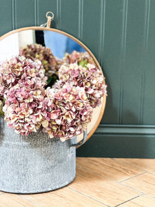 Autumn Burgundy Hydrangea