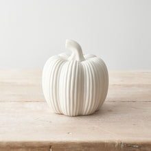 White Ribbed Pumpkin