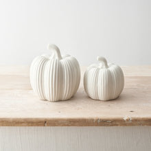 White Ribbed Pumpkin