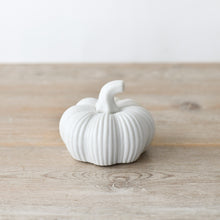 White Ribbed Pumpkin