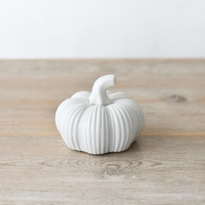 White Ribbed Pumpkin