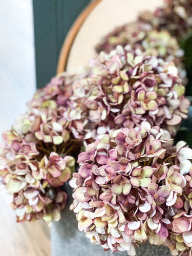 Autumn Burgundy Hydrangea