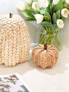 Natural Straw Plait Pumpkin