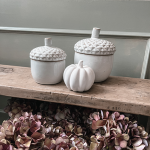 Glazed Ceramic Acorn Pot