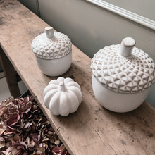 Glazed Ceramic Acorn Pot