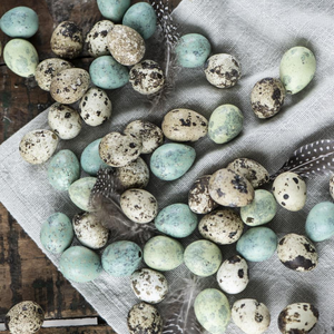 Box of 60 Mint Green Quails Eggs