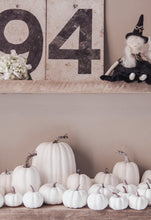 Rustic White Pumpkins With Faux Wooden Top