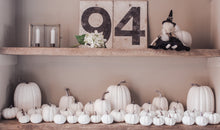 Rustic White Pumpkins With Faux Wooden Top