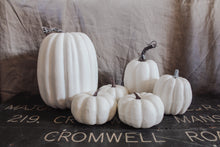 Rustic White Pumpkins With Faux Wooden Top