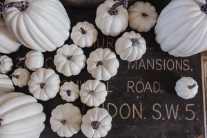 Rustic White Pumpkins With Faux Wooden Top