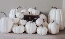 Rustic White Pumpkins With Faux Wooden Top