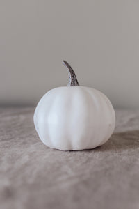 Rustic White Pumpkins With Faux Wooden Top