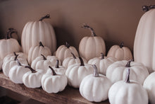 Rustic White Pumpkins With Faux Wooden Top