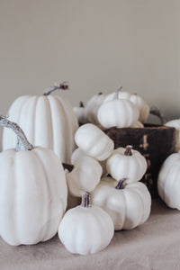 Rustic White Pumpkins With Faux Wooden Top