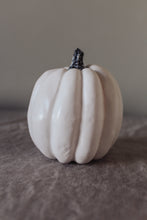 Rustic White Pumpkins With Faux Wooden Top