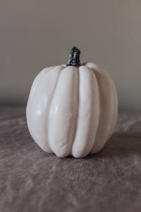 Rustic White Pumpkins With Faux Wooden Top