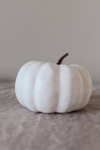 Rustic White Pumpkins With Faux Wooden Top